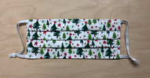 Load image into Gallery viewer, Adult Filter Pocket Holiday/Seasonal Masks